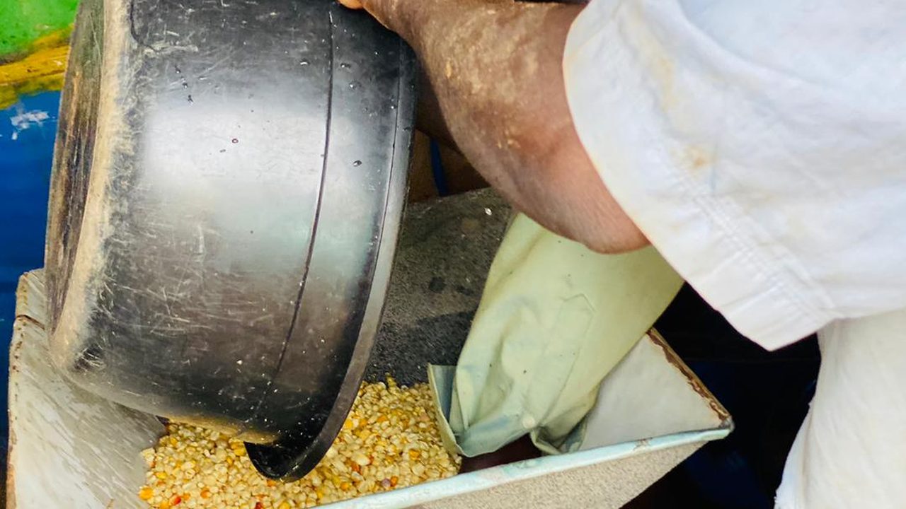 Grain versé dans la trémie du moulin
